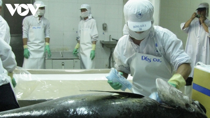 Tuna exports endure downturn on low market demand